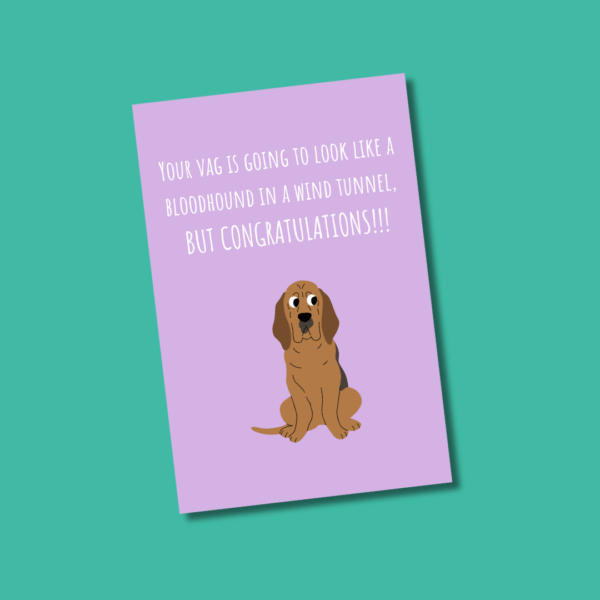 Your Vag Is Going To Look Like A Bloodhound In A Wind Tunnel